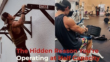 How To Reach Peak Performance In Anything You Do