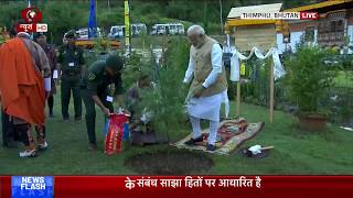PM Modi plants a tree sapling in Bhutan