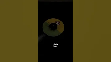 والله زمـان ياهوى زمـان 