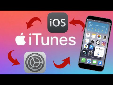 Как обновить iOS на iPhone через iTunes