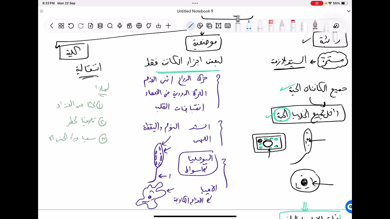 مراجعة الحركة في النبات