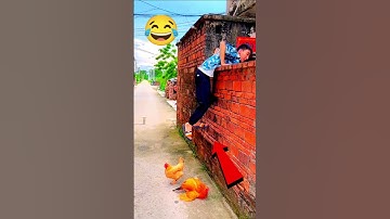 Stole a chicken from a neighbor