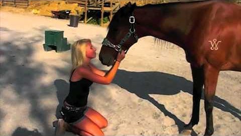 Night On The Country