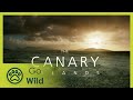 Canary Islands - Part II: The World of the Fire Mountains - The Secrets of Nature