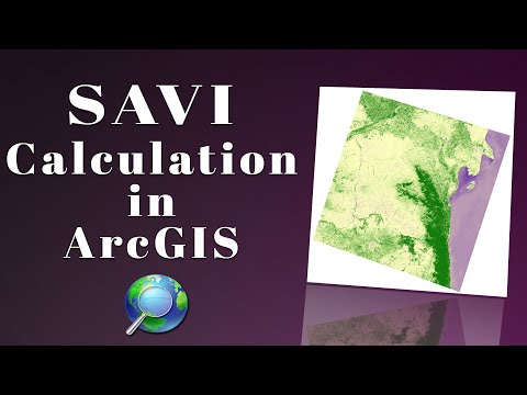 SAVI Calculation in
