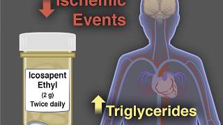 Reducing Risk in Hypertriglyceridemia (REDUCE-IT Trial)