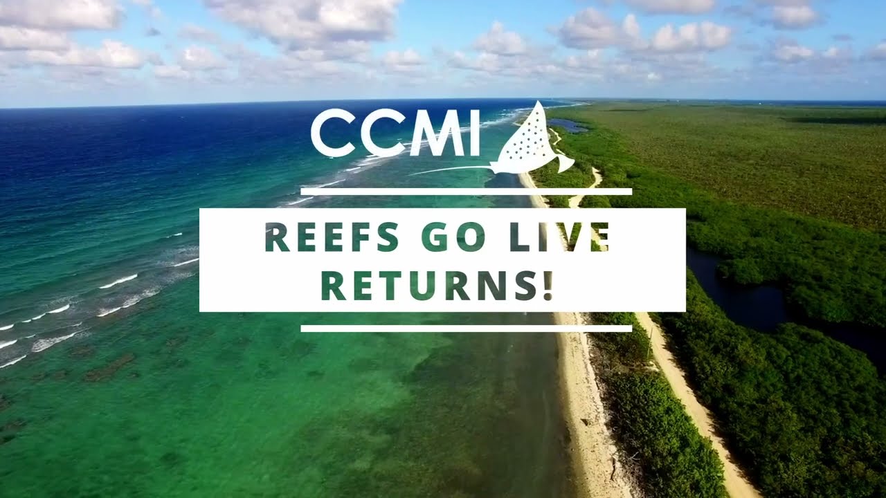 Reefs Go Live is back for 2026!