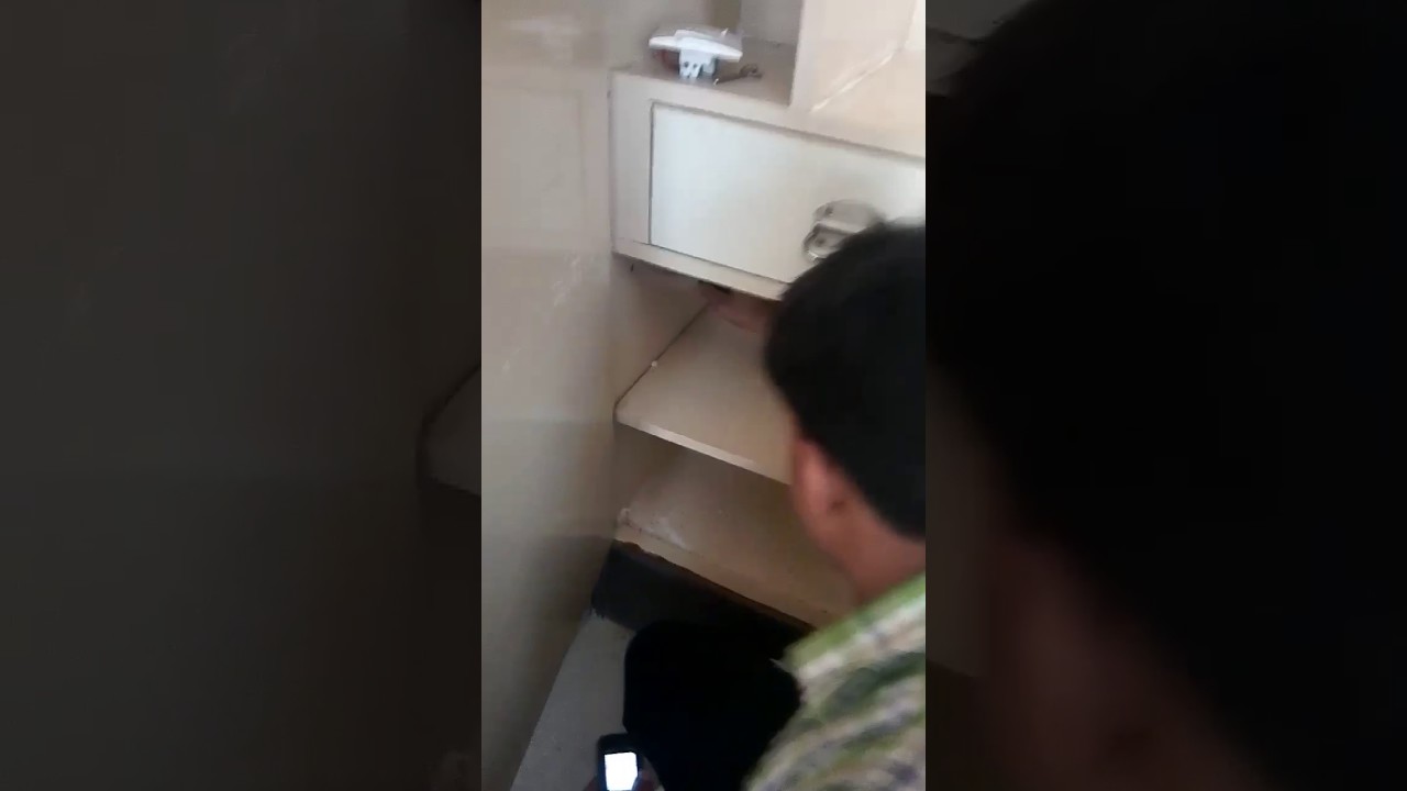 Termite Control Service / New Dynamic Pest Control / Pest Control Services