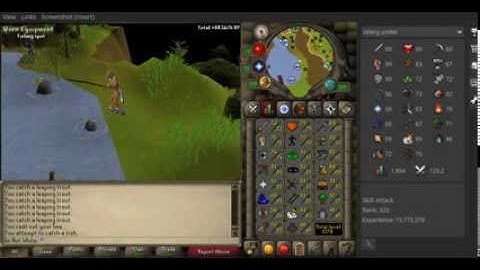 EASIEST WAY TO USE MOUSE KEYS - RUNESCAPE 2007