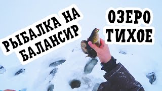 Рыбалка на крупного окуня .Хороший балансир всегда найдёт трофей #карелия