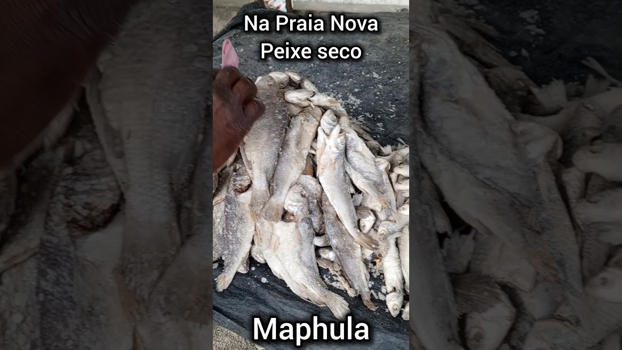 VARIEDADE DE PEIXE SECO NA PRAIA NOVA #Beira #Sofala #Moçambique #peixes #Praianova #áfrica