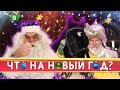 Новый Год в Богдарне / Сыры и стейки от Джона Кописки / Глэмпинг / Кописки LIVE / 9 серия