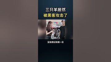 三只羊居然被黑客攻击了？？#网络安全 #黑客 #cybersecurity #熱門 #hacker #分享 #程序员 #chatgpt