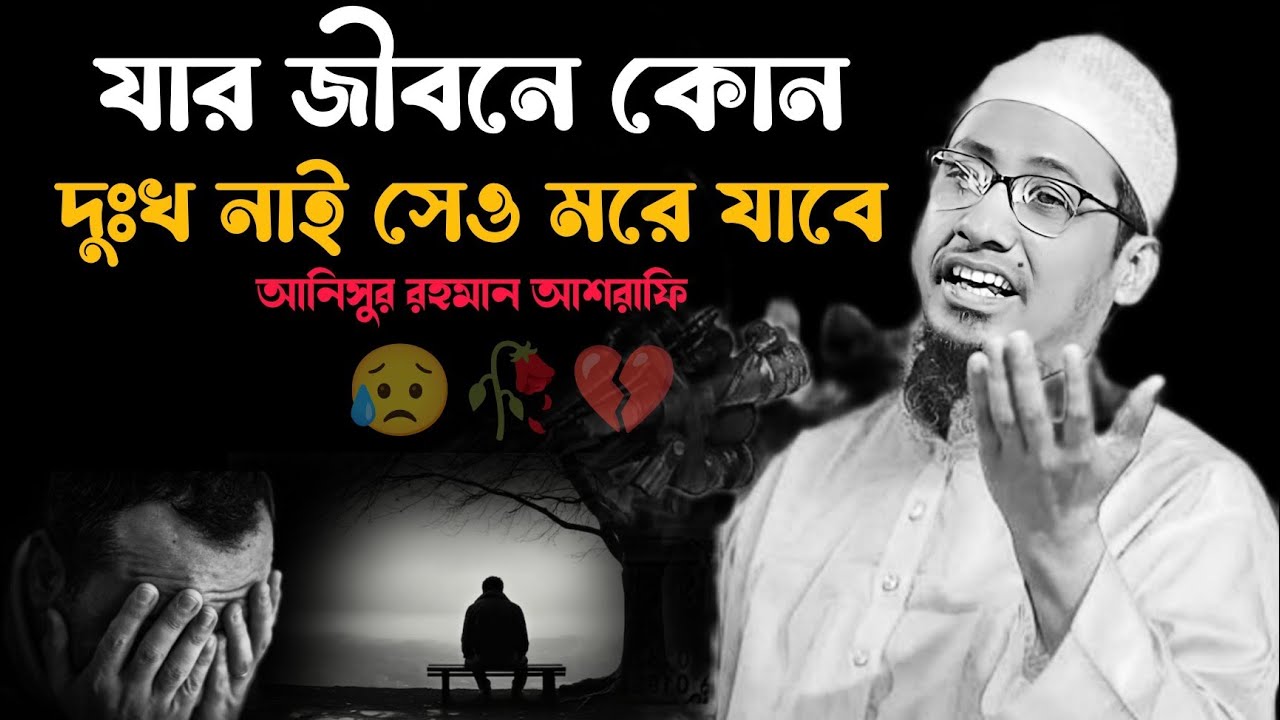 যার জীবনে কোন দুঃখ নেই সেও একদিন মরে যাবে 😭💔😢 মাওলানা আনিসুর রহমান আশরাফি 