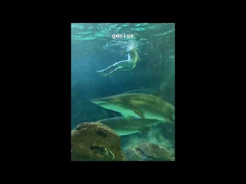 Man swims naked in SHARK TANK