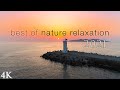 Best of nature relaxation 2021  10 hours of stunning 4k u music for stress relief