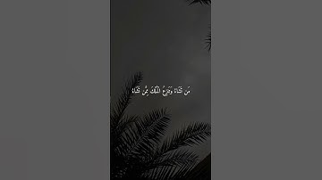 سورة آل عمران || القارئ سعد الغامدي #سعد_الغامدي