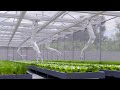 Installation de production de semis de haute technologie machines agricoles robotises