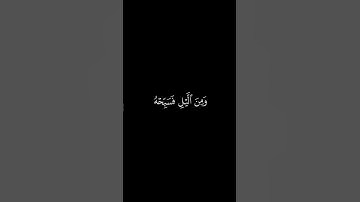 #كرومات_قرآن واصبر لحكم ربك فإنك بأعيننا بصوت الشيخ فارس عباد #تلاوة_خاشعة