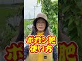 ボカシ肥の使い方#Shorts