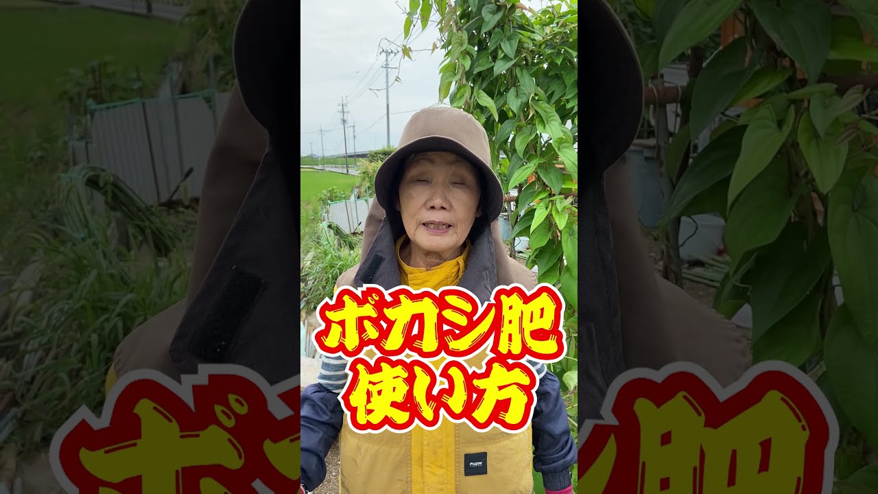 ひろちゃん農園【公式切り抜き】 - YouTube