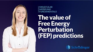 The value of Free Energy Perturbation (FEP) predictions