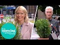 Holly Gets Caught Cheating in Bush Trimming Contest | This Morning