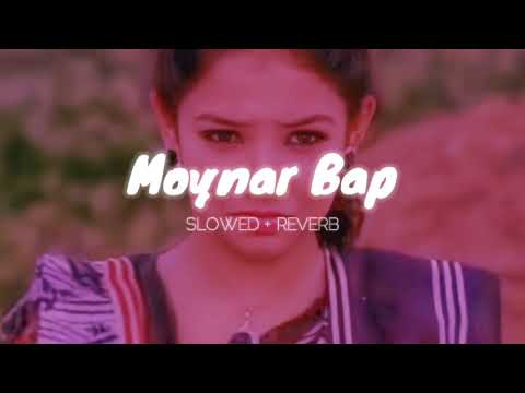 Moynar Bap  Slowed  Reverb  Funny Bangla Lo fi  Teri Meri Bangla Parody Version Lofi