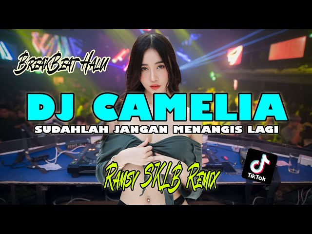 DJ SUDAHLAH JANGAN MENANGIS LAGI | CAMELIA class=