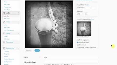 Using the WordPress Image Editor