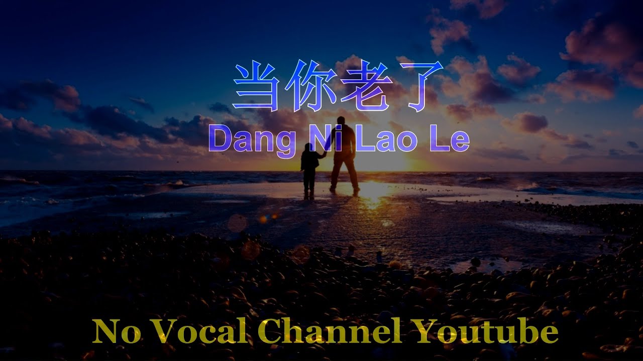 Dang Ni Lao Le ( 当你老了 ) Male Karaoke Mandarin - No Vocal