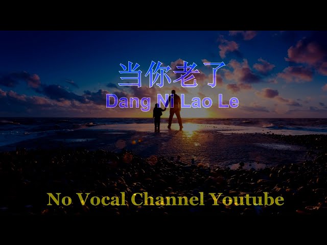 Dang Ni Lao Le ( 当你老了 ) Male Karaoke Mandarin - No Vocal class=