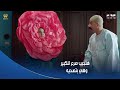 الكبير أوي 6 عن اللي عملته مربوحة يوم صباحيتها كانت هتجيب صرع للكبير وهي بتصحيه الكبير أوي 6 عن اللي عملته مربوحة يوم صباحيتها كانت هتجيب صرع للكبير وهي بتصحيه
