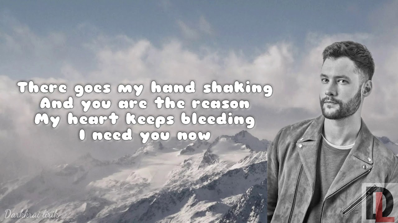 Calum Scott You Are The Reason Lirik