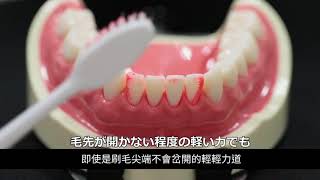 【日本獅王口腔衛教】刷牙基礎①過度刷拭