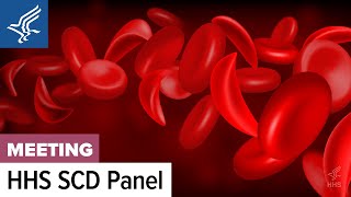 Sickle Cell Disease Past and Present: A Panel Discussion on Care Across the Lifespan