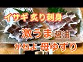 イサギ炙り刺身！ 九州のかねよ醤油母ゆずりめちゃくちゃ美味しいです