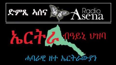 Voice of Assenna: Panel Discussion - What Went Wrong in Eritrea in the Last 25 Years? -  Part 3