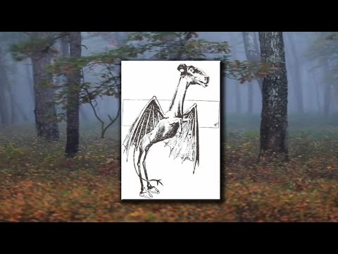 jersey devil legend