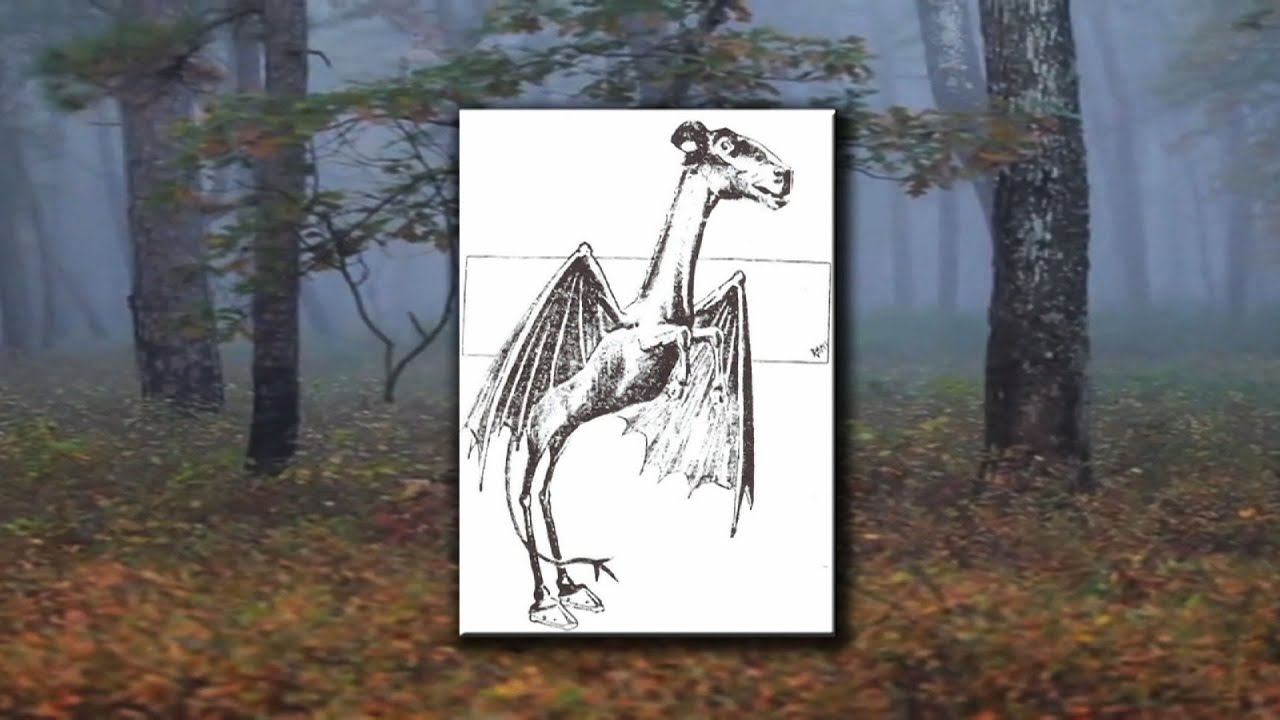 jersey devil