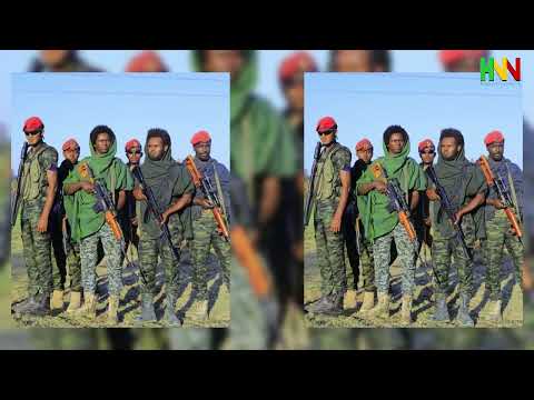 ከባድ ምሽግ ተሰበረ ከተማው ተያዘ ሸዋ ደ ጎንደር ጎጃም አሁናዊ መረጃዎች ዘ መ ቻ ቃል ኪዳን በፋኖና ብልፅግና ሀምሌ 22 2017 July 29 2025