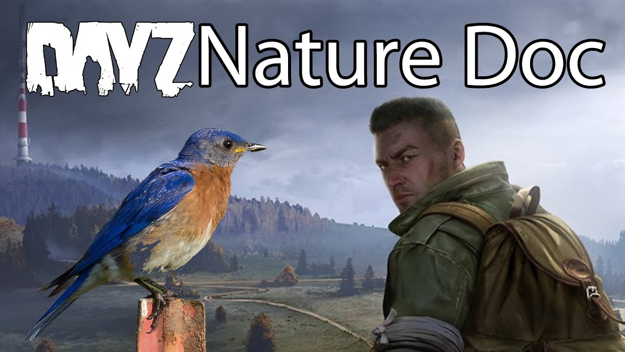DayZ Xbox One Gameplay 1.08 Update Nature Documentary