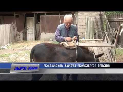 \"თუ ამ ვირს ქონებად მითვლიან წაიყვანონ\"-84 წლის მამაკაცის პროტესტი 14.07.2015