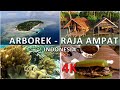 Arborek island raja ampat indonesia  drone price accommodation snorkeling food in 4k