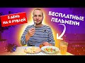 КАК Я ЖИВУ без Денег? Бесплатные пельмени! Выживаю неделю на 0 рублей (день #5)