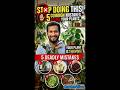 5 most common gardening mistakes | Balcony Garden #gardeninghacks #verticalgardening