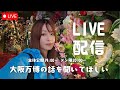 大阪万博行ってきた🐙たくさん思うことあったので聞いてほしいLIVE