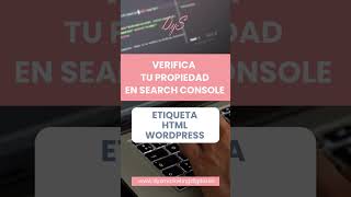 Verifica De Manera Fácil Tu Propiedad En Search Console Con Nuestro Tutorial