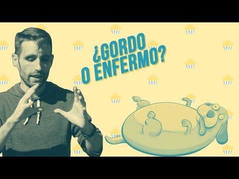 Video: Pregúntele a un veterinario: ¿Importa el tamaño? ¿Por qué los perros pequeños viven más tiempo?