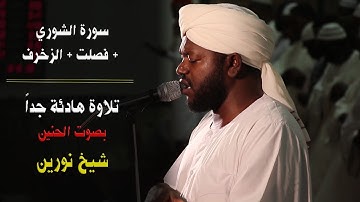 لا يفوتك👳 | من أجمل الأصوات دوما" | تلاوة هادئة وممتعة للشيخ نورين | سورة الشورى وفصلت والزخرف